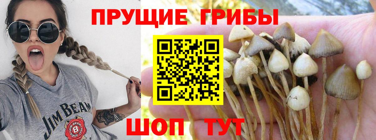 Великие Луки  Галлюциногенные грибы GOLDEN TEACHER  Галлюциногенные грибы Magic Shrooms  Вход с VPN 